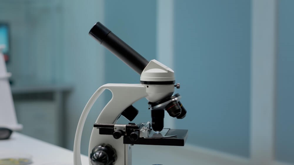 Xanthelasma and Xanthomas - Exploring the Broader Picture