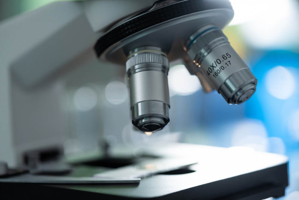 Differentiating Xanthelasma from Syringoma - A Comparative Analysis