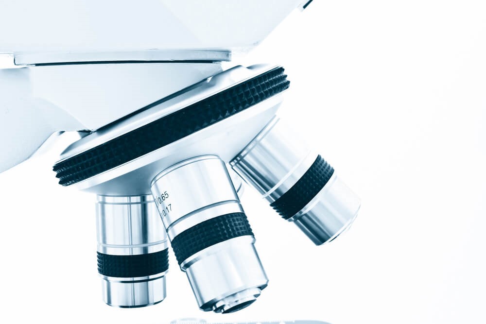 Differentiating Xanthelasma from Syringoma - A Comparative Analysis