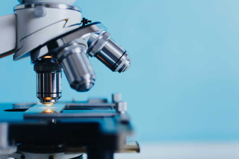 Differentiating Xanthelasma from Syringoma - A Comparative Analysis