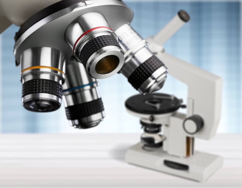 Xanthelasma Compared to Warts - Understanding the Differences