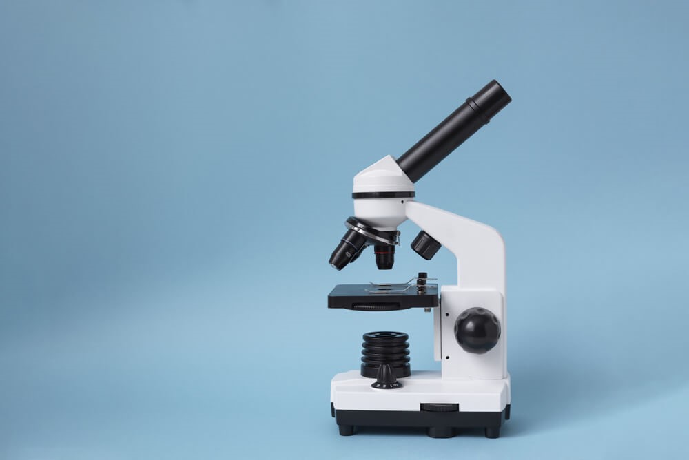 Eyelid Xanthomas - Understanding These Lipid Deposits